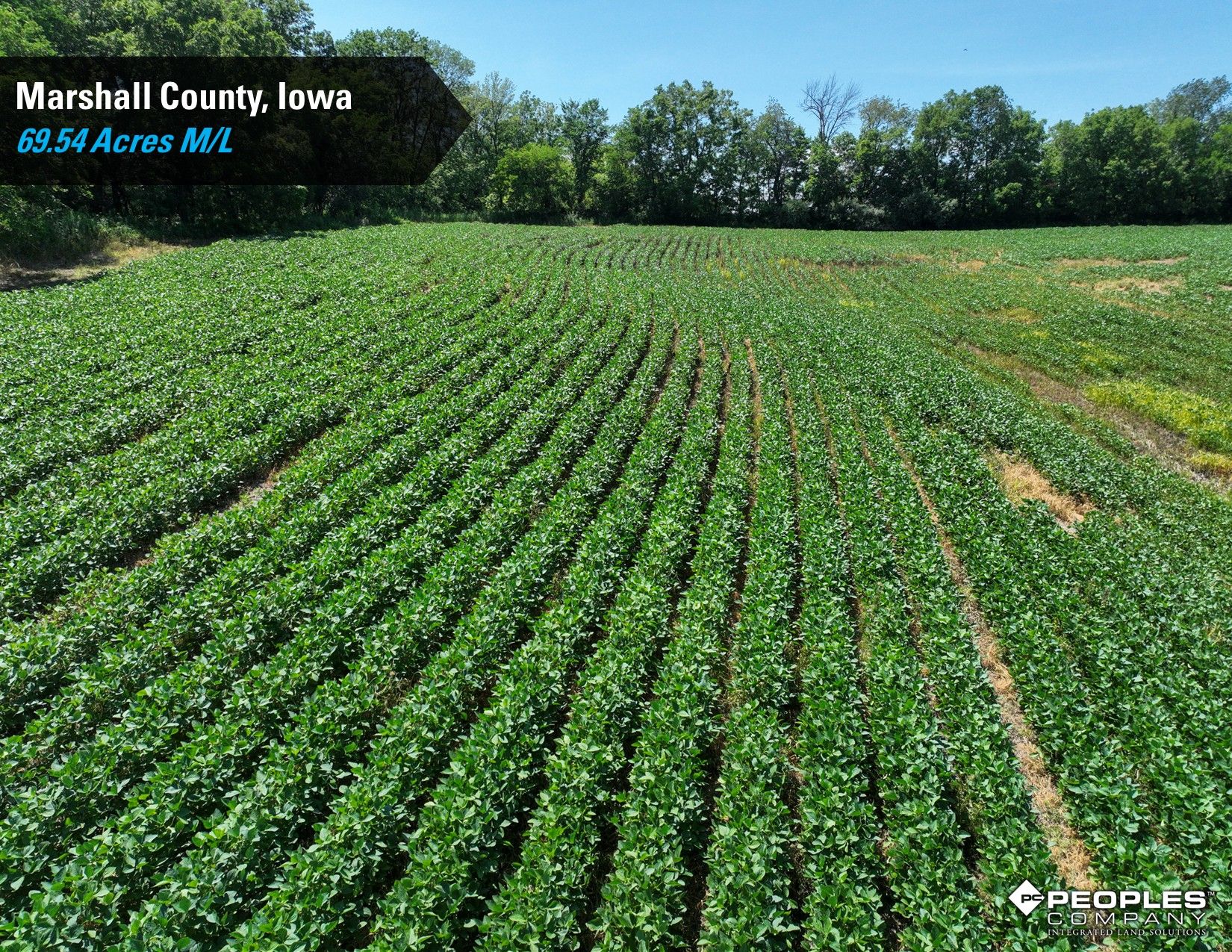 Listing Photo: Marshall-County-Iowa-Online-Land-Auction-Recreational-Property-Smith-Estate (9)